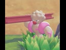 【ぽこあポケモン】ドテッコツとの出会い