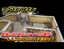 ドラクエ７リメイク　しんこうのたねの入手場所は？　聖風の谷（過去）のアイテムの場所　＃５７０　【Reimagined】