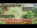 ドラクエ７リメイク　まりょくのたねの入手場所は？　守り人の集落（過去）のアイテムの場所　黒雲の迷路取り逃し分　＃５７４　【Reimagined】