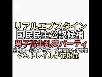 リアルエプスタイン国民民主党候補者が男子高生と乱交パーティさすがエプスタインダボス不倫玉木雄一郎、エプスタインヤギ悪魔榛葉　ケムトレイル花粉症対策
