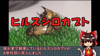 河合塾＆東進】生物・山川喜輝の授業風景 - ニコニコ動画