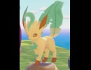【ぽこあポケモン】リーフィアとの出会い