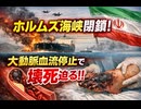 世界統一政府実現への布石　どちらの世界線もアーバンサバイバル突入必至　　ホルムズ海峡閉鎖に伴う大動脈血流停止で壊死迫る