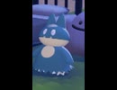 【ぽこあポケモン】ゴンベとの出会い