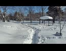 2026年1月28日 大雪で積雪がガッツリ増えた冬晴れの公園を散歩 ウォーキング動画VOL.20