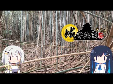 【徳島県・美馬市】山登り始めました【城郭登城祭第三陣】