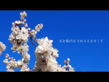 3月9日／歌ってみた【ちいち】
