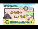 今更始めるどうぶつしょうぎ