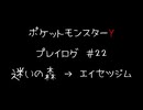 【音声のみ】ZAを遊ぶ前にXYの復習をする【生放送アーカイブ】＃２２
