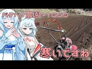 2026年3月9日　農作業日誌P1659　種まきをしつつ、ジャガイモ畑をガリガリする