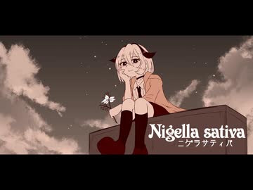 ニゲラサティバ / Ci flower