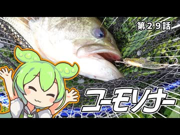 【コーモラン】５５円の中古ルアーでバスを釣ろう。コーモソナー。第２９話【温故知新３】