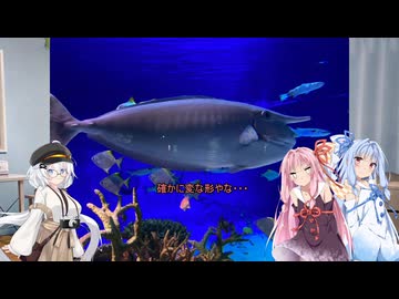 ボイロ日記　2026.03.08