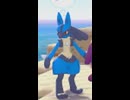 【ぽこあポケモン】ルカリオとの出会い
