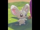 【ぽこあポケモン】チラーミィとの出会い
