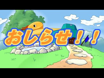 次回のお知らせ！！