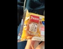 国産小麦の総菜パン！Pascoの春フェスシールの貼られたたっぷりコーンマヨネーズ総菜パン（和小麦使用・国産小麦の小麦粉を80％使用とのこと）