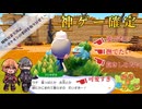 【曖昧兄弟実況記】フシギダネ可愛すぎぃ！一匹貰ってもよいですか？？【ぽこ あ ポケモン #1】