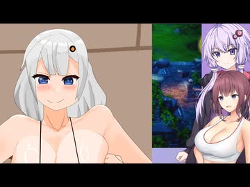 ちょっと胸が大きい以外普通のドラクエ3実況プレイ【VOICEROID実況プレイ】（6）