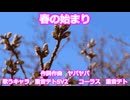 【重音テトSV2】春の始まり
