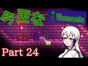【Terraria】今更なテラリア　その24