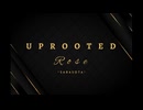 Uprooted Rose - Luxury Flowers Sarasota