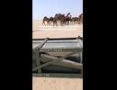Footage allegedly shows a used container for an American HIMARS ATACMS M57