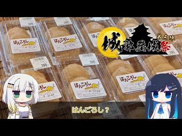 【徳島県・那賀郡那賀町～阿南市】はんごろし始めました【城郭登城祭第三陣】