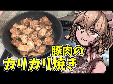 豚肉をカリカリに焼いたやつです。【ナースロボ タイプＴ】