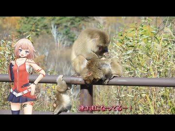 [新潟発]グンマートライバルエリア[OИE車載]