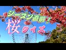 【ソフトウェアトーク劇場】シーズン直前！桜クイズ【VOICEVOX】