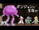 【ダンジョンに生息だ！】11人の冒険者　part.7