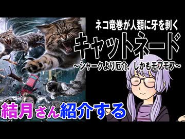 結月さんの映画紹介「キャットネード ～シャークより厄介、しかもモフモフ～」