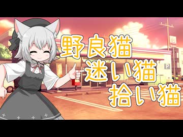 野良猫小夜ちゃん【未来から来たWhiteCUL】【ボイボ劇場】