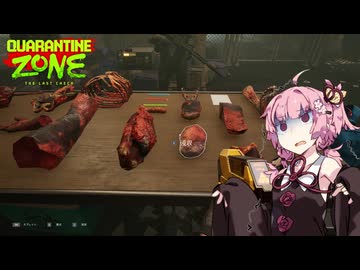 【QZSim】検疫官のお姉ちゃん #3【Quarantine Zone The Last Check】