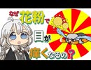 【ゆかりさん教えて！】どうして花粉が目に入ると痒くなるの？