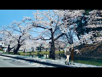 桜が色づいたら / feat.知声&初音ミク