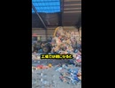 中国産ペット用ジャーキー製造の衝撃～ダンボールから作られる偽装ドッグフード～