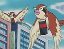 ポケットモンスター（1997）　第166話　ポッポやのでんしょポッポ！