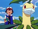 ポケットモンスター（1997）　第244話　キレイハナVSラフレシア！そうげんのへいわ！