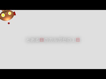 とある日のカルガセの一日