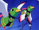 ポケットモンスター（1997）　第239話　ネイティオのだいよげん！