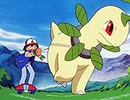 ポケットモンスター（1997）　第233話　ポケモンライドでつっぱしれ！！