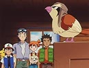 ポケットモンスター（1997）　第216話　ポッポとデカポッポ! まだみぬそらへ!!