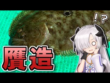 【GANZO】ヒラメのそっくりさん、煮付け送り【音楽的同位体】