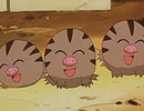 ポケットモンスター（1997）　第193話　ここほれウリムー！おんせんをさがせ！！