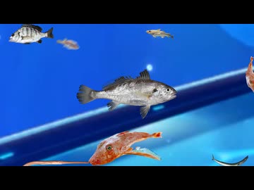 unwelcome aquarium