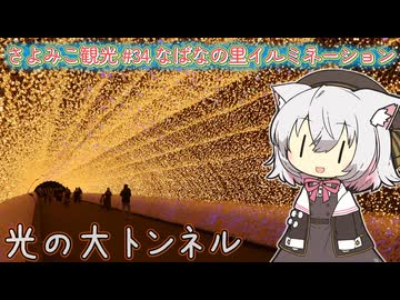 さよみこ観光 なばなの里イルミネーション(三重県)