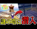 村の裏山で謎の塔を発見しました【ぽこあポケモン】#5