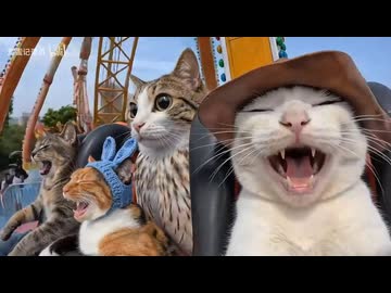 ホモと見る仲間たちと遊びまくる猫系youtuber